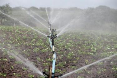 Irrigation Smart Agriculture